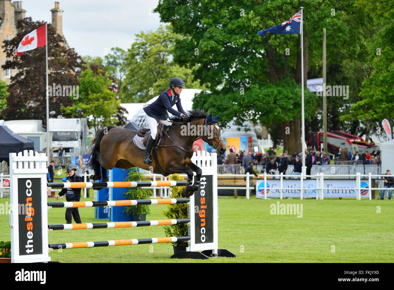 Springreiten im Royal Highland Show 2015, Ingliston, Edinburgh, Scotland, UK Stockfoto