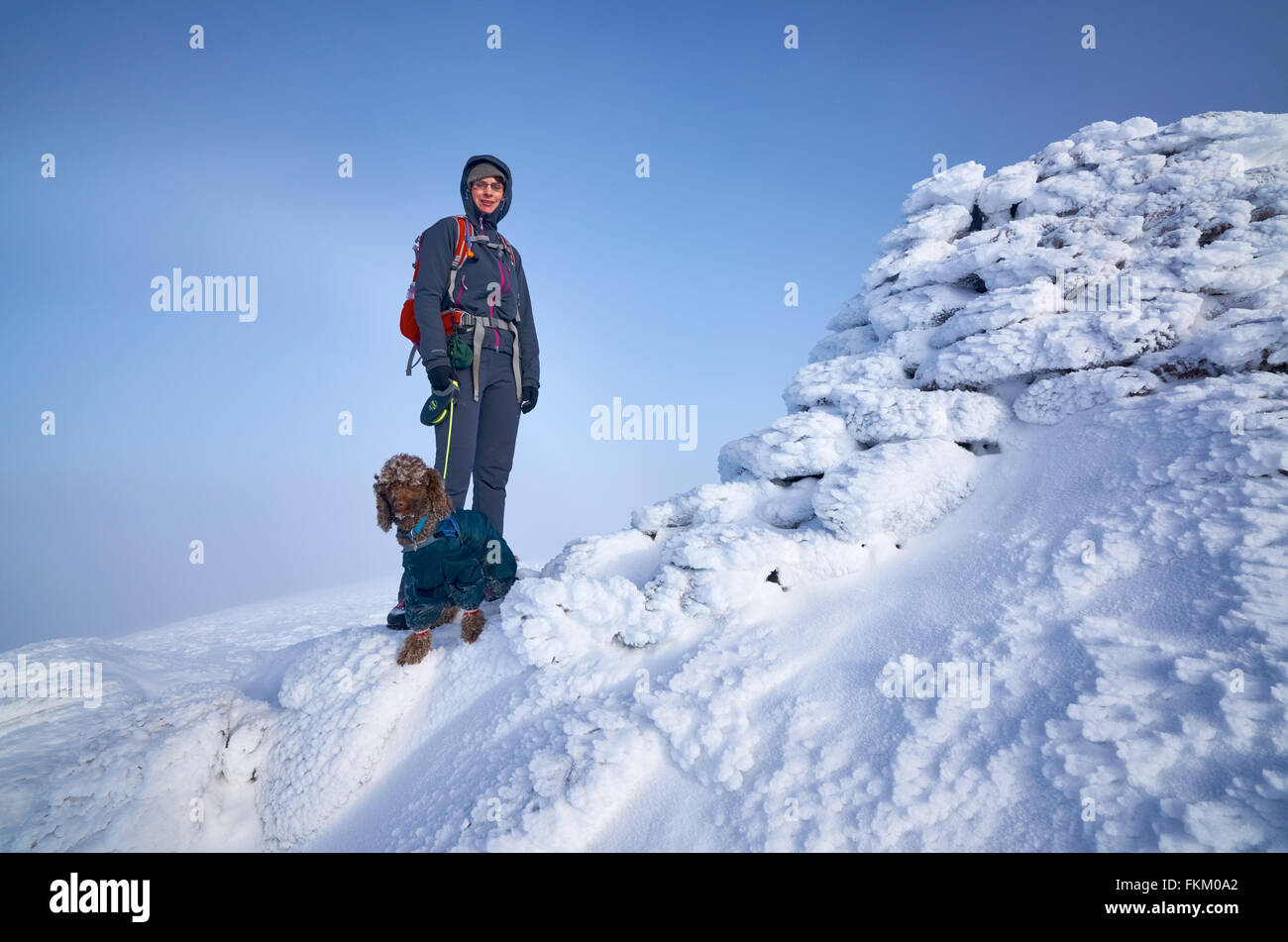 Ein Wanderer und ihr Hund auf dem gefrorenen Gipfel Cairn Gorm, Cairngorms in den schottischen Highlands, UK. Stockfoto