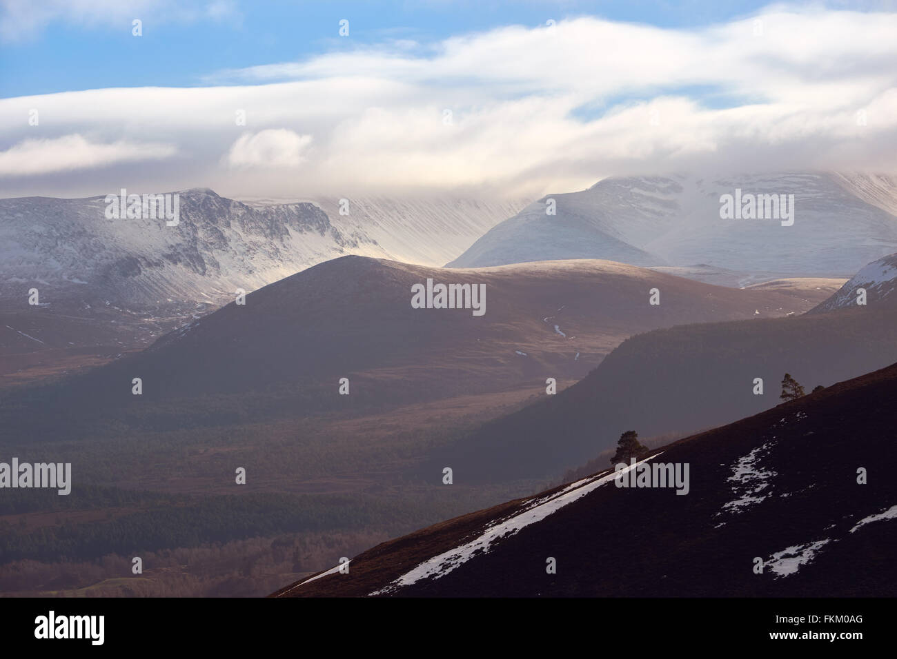 Blick in Richtung Lairig Ghru, Cairngorms in den schottischen Highlands, UK. Stockfoto