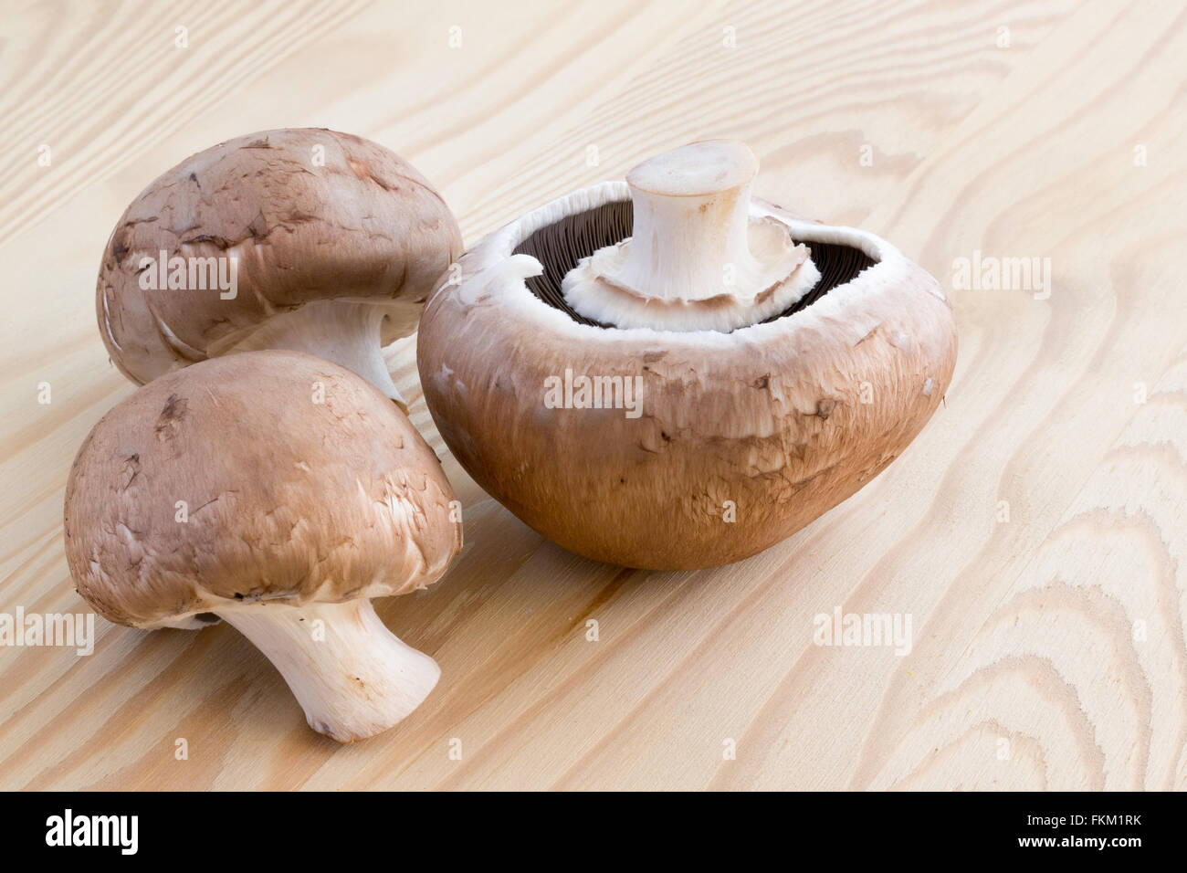 Drei Maronen Pilze auf einem Holzbrett Stockfoto