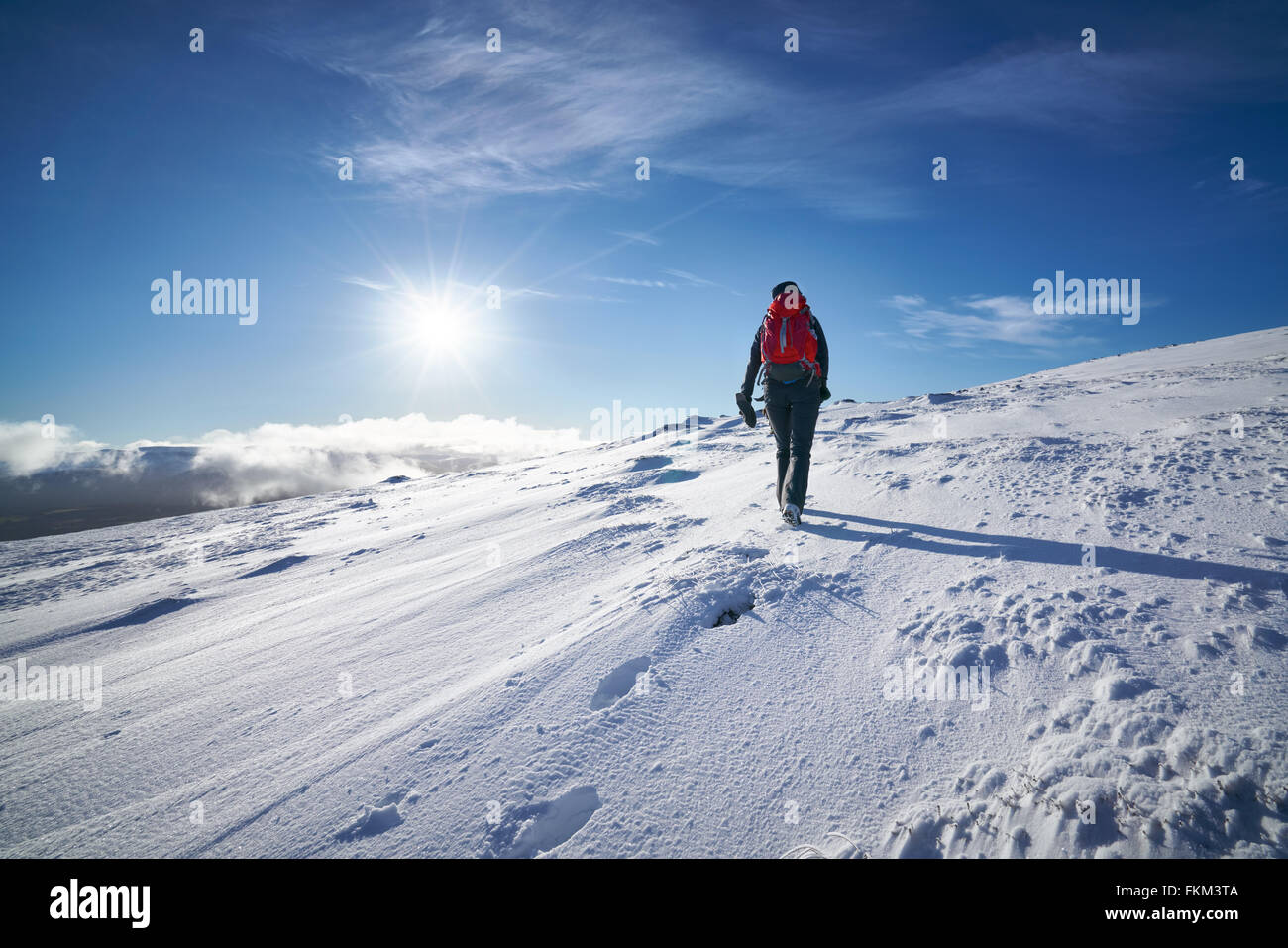 Ein Wanderer und ihr Hund zu Fuß in Richtung Gipfel des Geal Charn Mor, Cairngorms in den schottischen Highlands, UK. Stockfoto