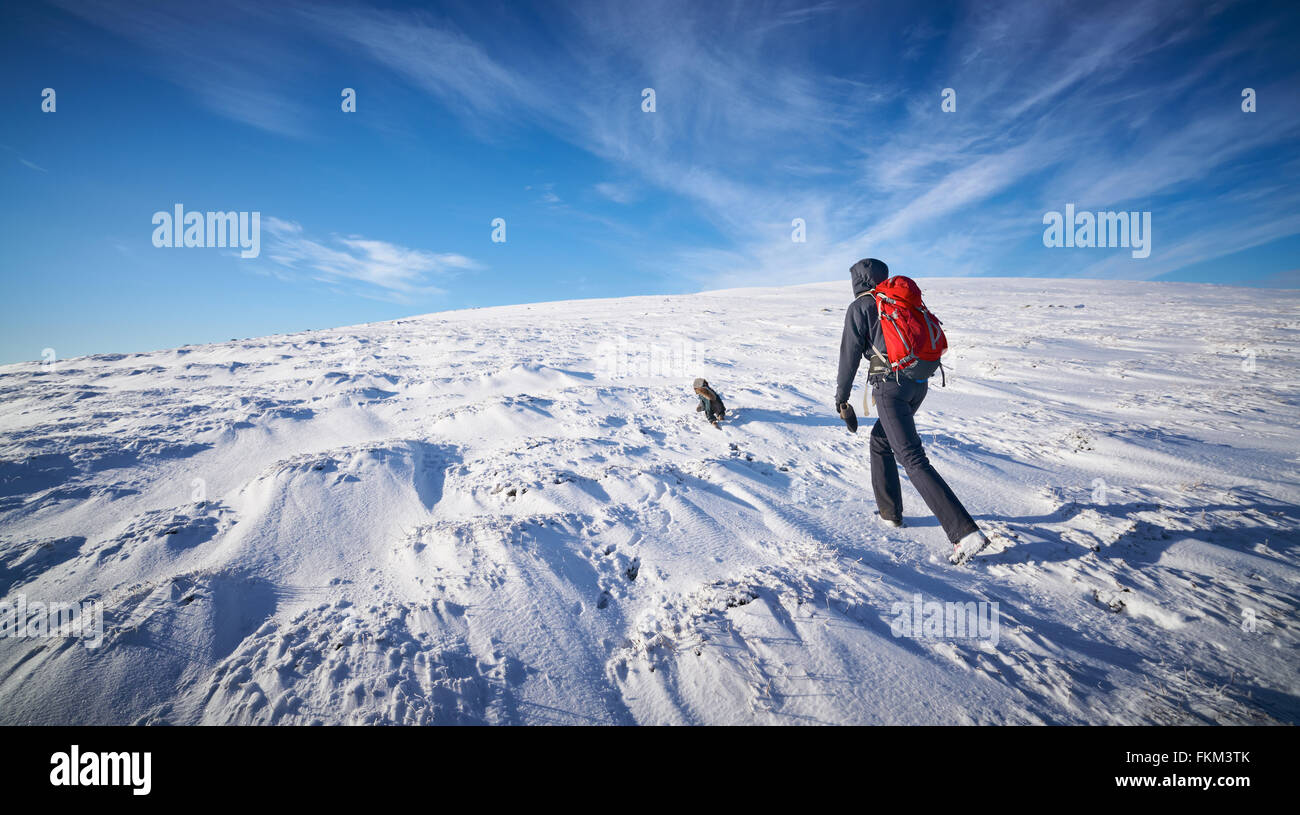 Ein Wanderer und ihr Hund zu Fuß in Richtung Gipfel des Geal Charn Mor, Cairngorms in den schottischen Highlands, UK. Stockfoto