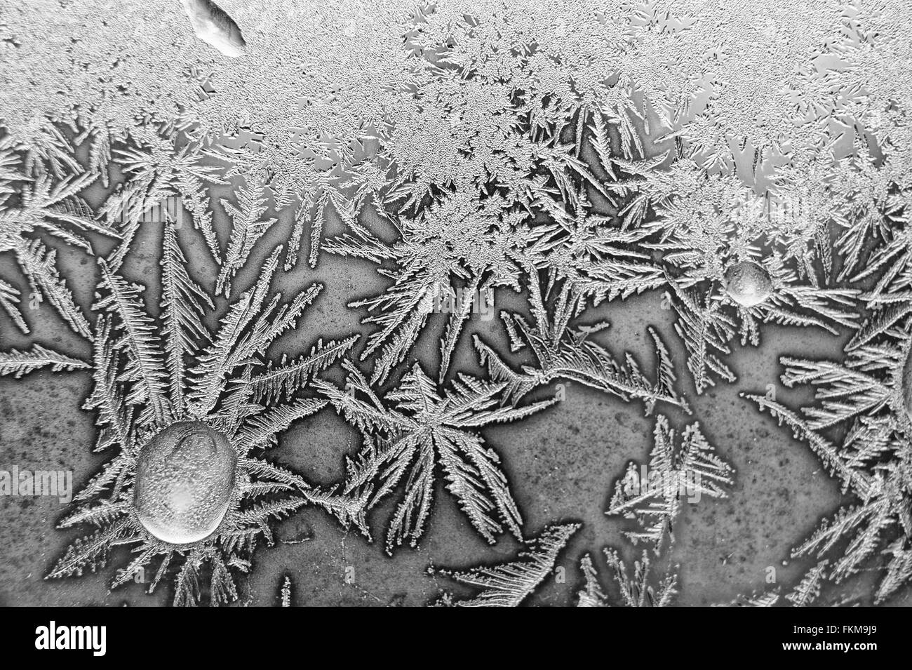 Frost auf dem Glas Stockfoto