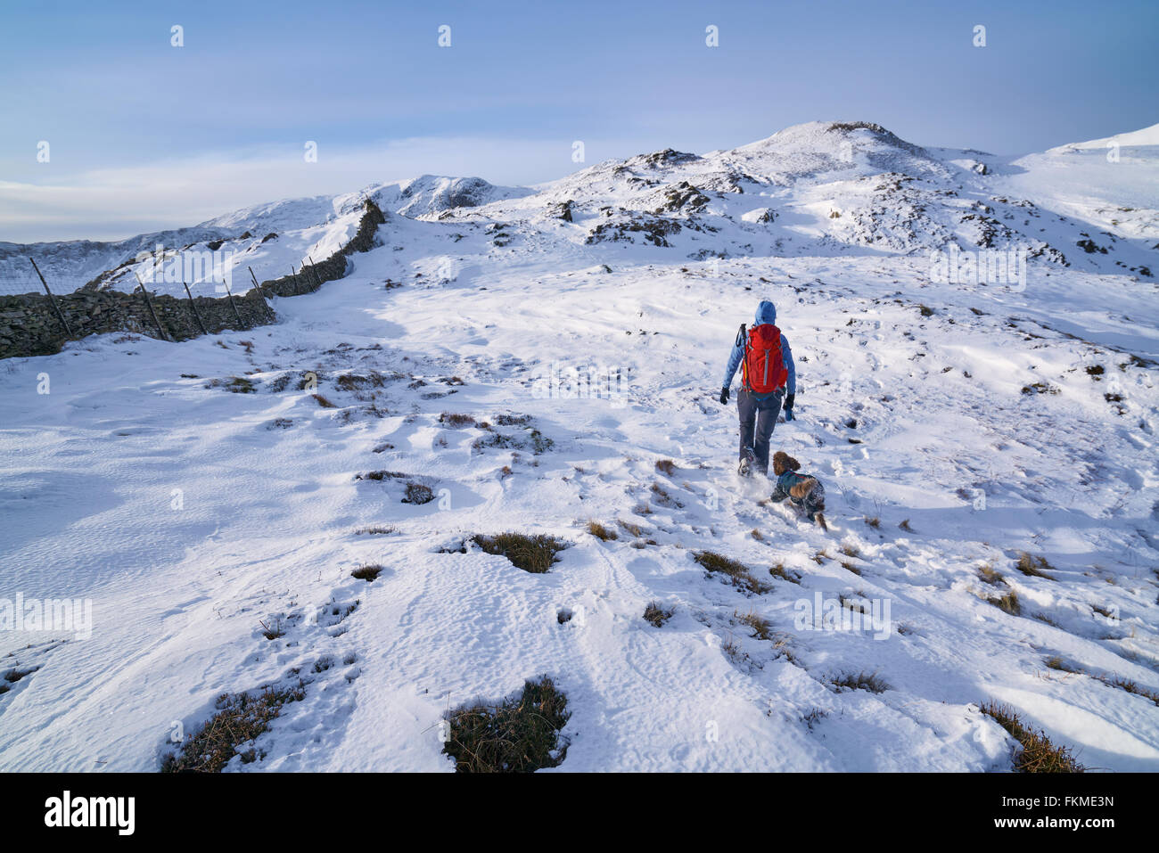 Wanderer zu Fuß ihren Hund entlang Hartsop oben wie das Hart Crag führt. Englischen Lake District. Stockfoto