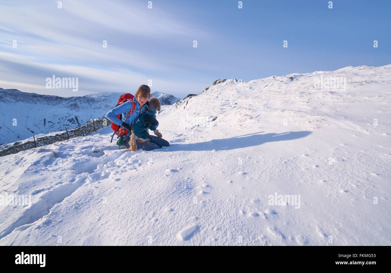 Wanderer, die Überprüfung ihrer Hunde Pfoten beim gehen im frisch gefallenen Schnee. Hartsop weiter oben, wie im Lake District. Stockfoto