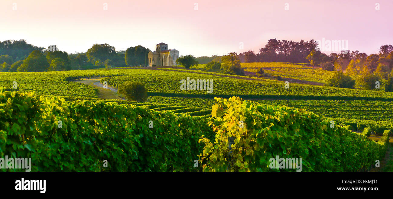 Landschaft über Weinberg Poitou-Charentes, Frankreich Stockfoto
