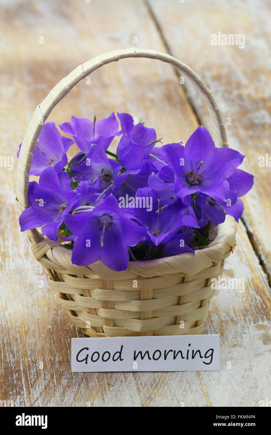 Guten Morgen Karte mit Mini-Weidenkorb gefüllt mit lila Campanula Glockenblumen Stockfoto