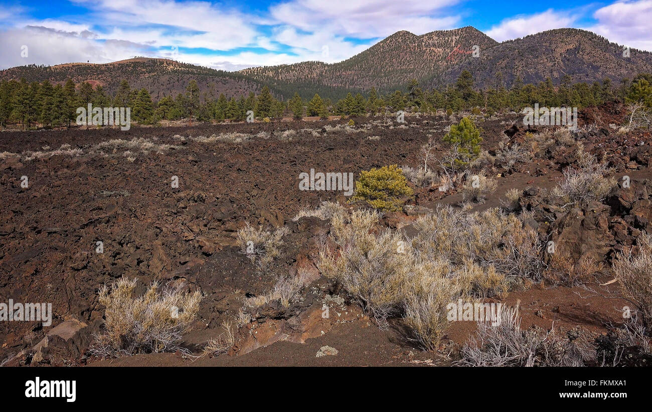 Alten Feld von Lava an der Bonito Lava Flow in Sunset Crater National Monument Stockfoto
