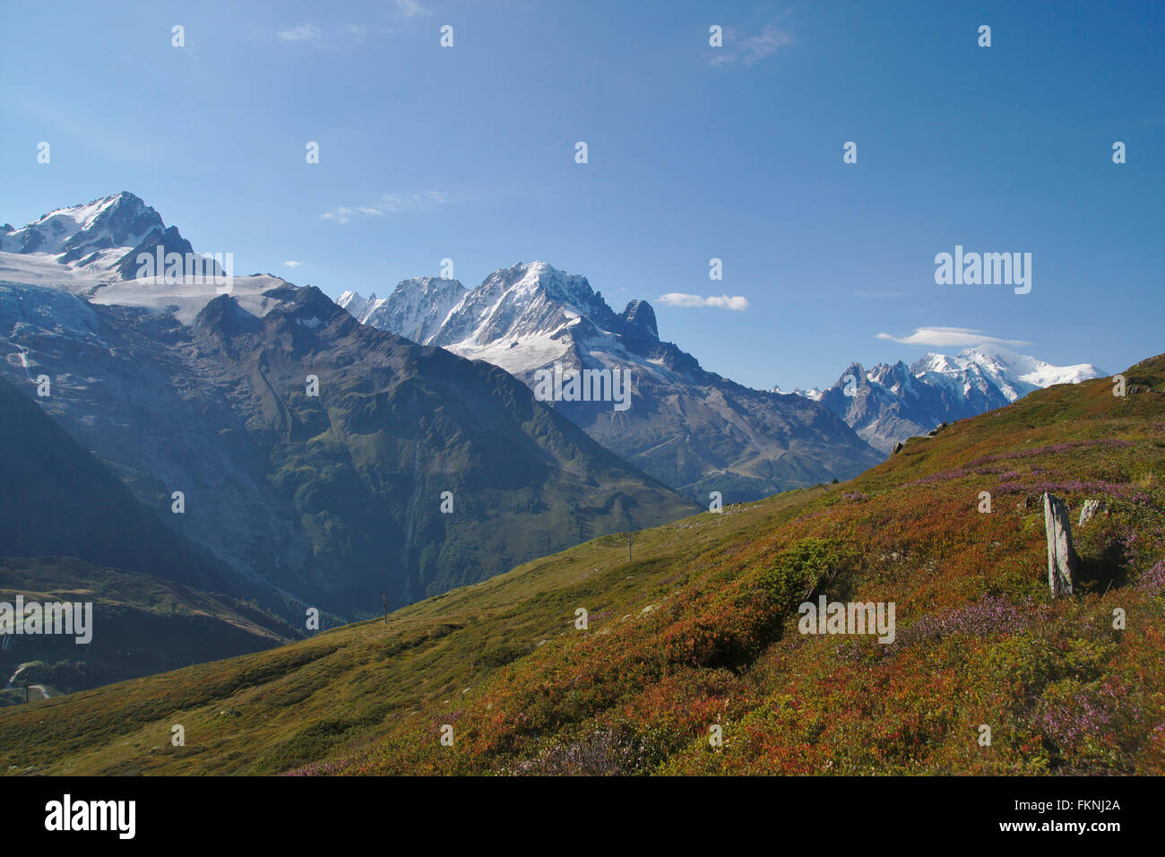 Aiguille du Chardonnet, Aiguille Verte und Mont Blanc von Balme Stockfoto