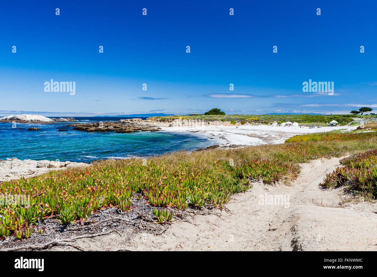 Sandstrand in der Nähe von Cypress Point, 17 Mile Drive, Big Sur, Kalifornien, USA - 1. Juli 2012: The 17 Mile Drive ist eine Panoramastraße Throu Stockfoto