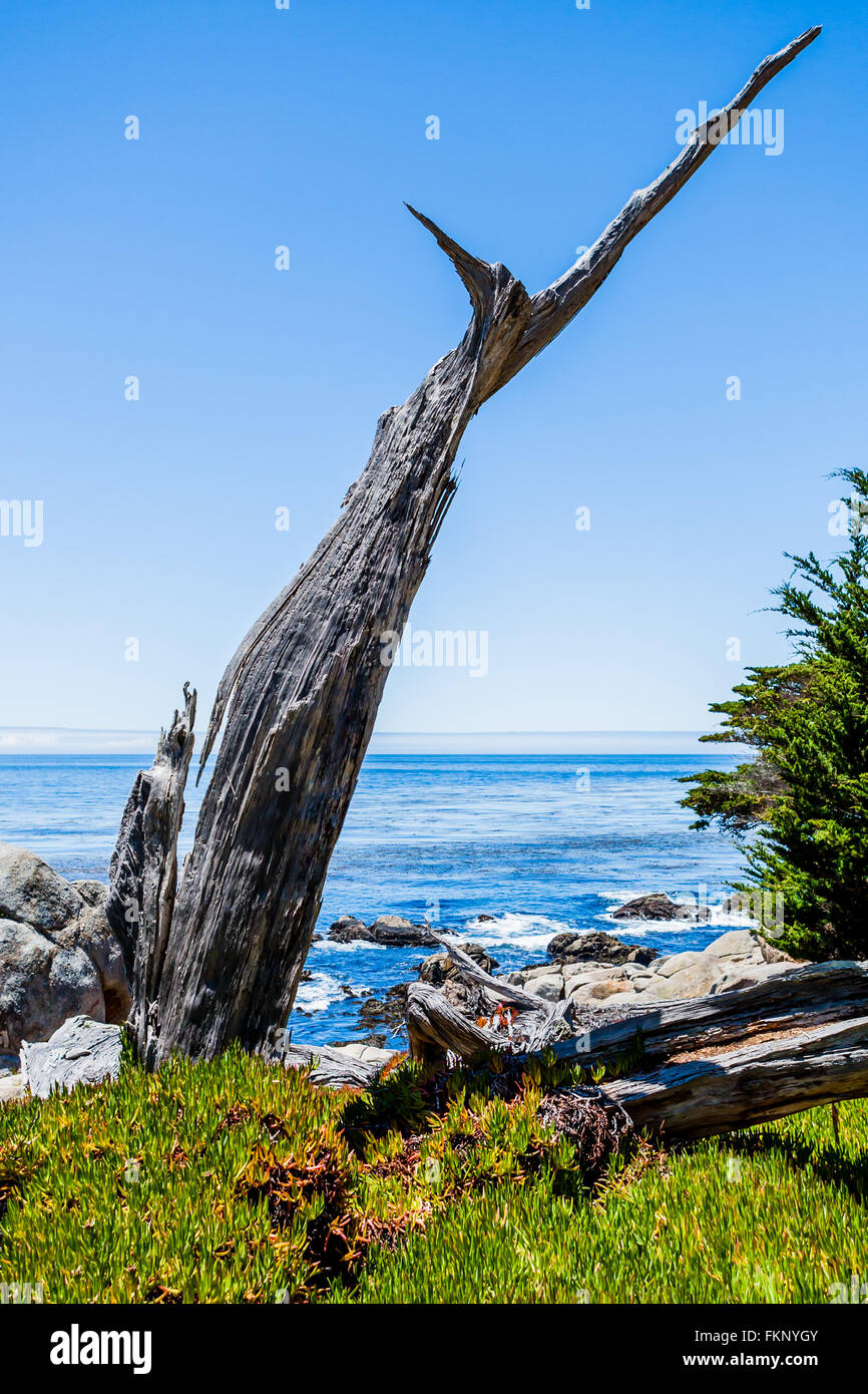 Pescadero Point, 17 Mile Drive, Big Sur, Kalifornien, USA - 1. Juli 2012: The 17 Mile Drive ist eine Panoramastraße durch Pacific Grov Stockfoto