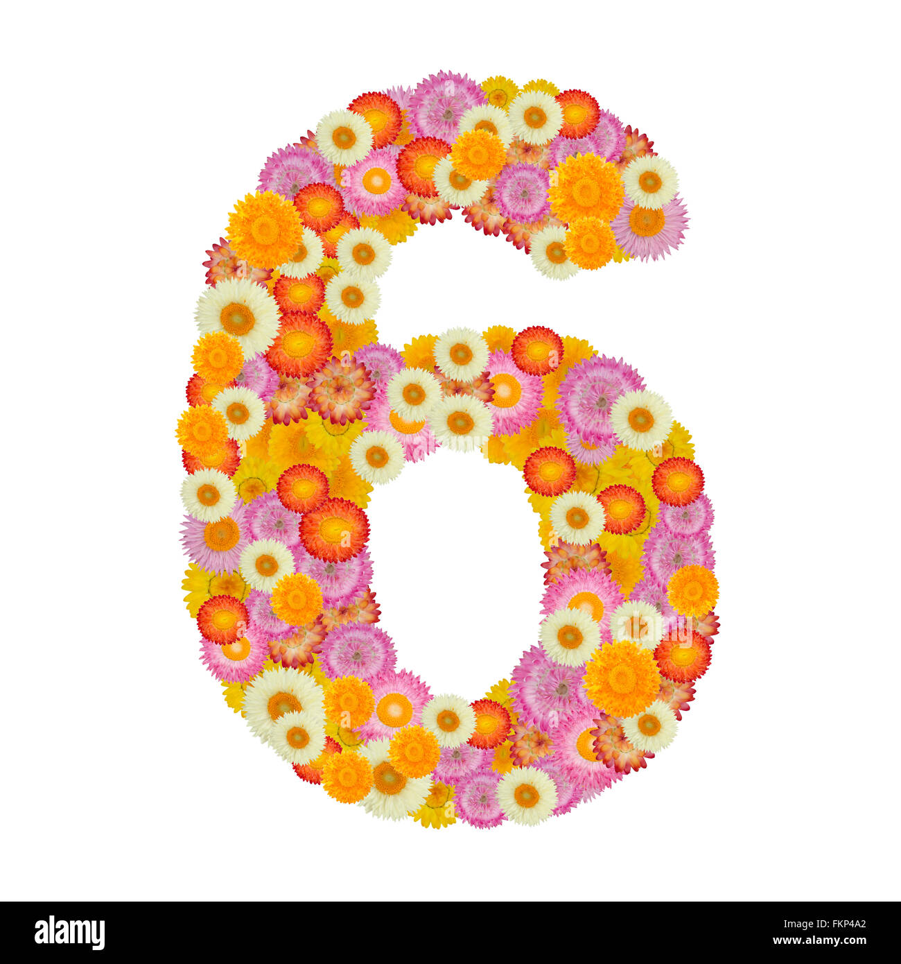 Blume Nummer sechs. Florale Element der bunte Alphabet aus Stroh hergestellt Stockfoto