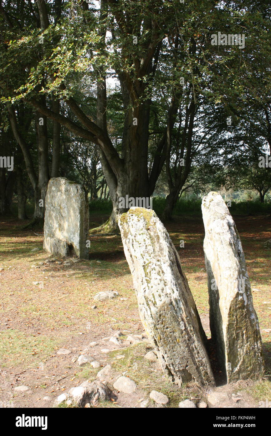 Steinkreis in den Schloten Cairns in der Nähe von Culloden, Schottland Stockfoto