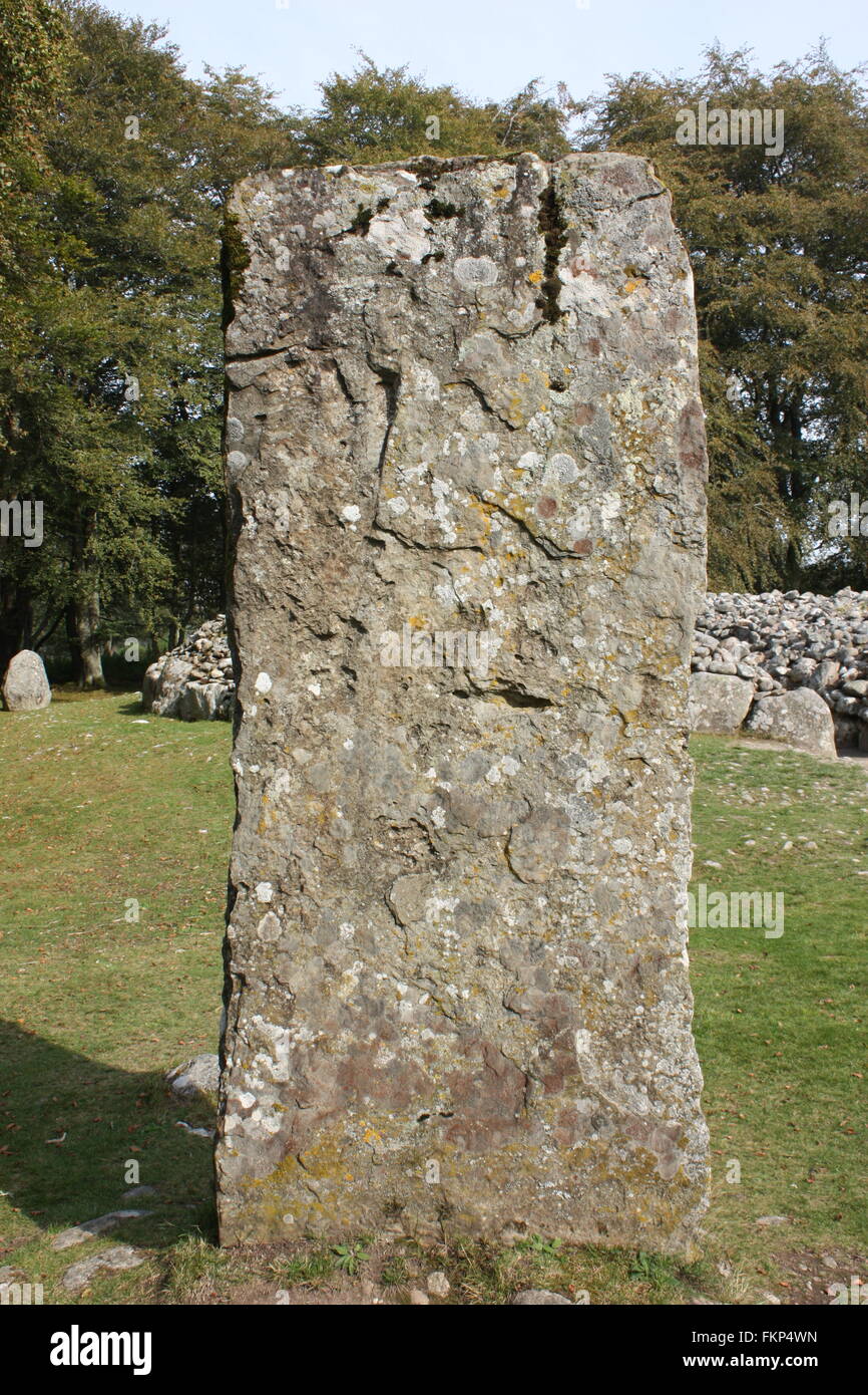 Stehenden Stein an den Schloten Cairns in der Nähe von Culloden, Schottland Stockfoto