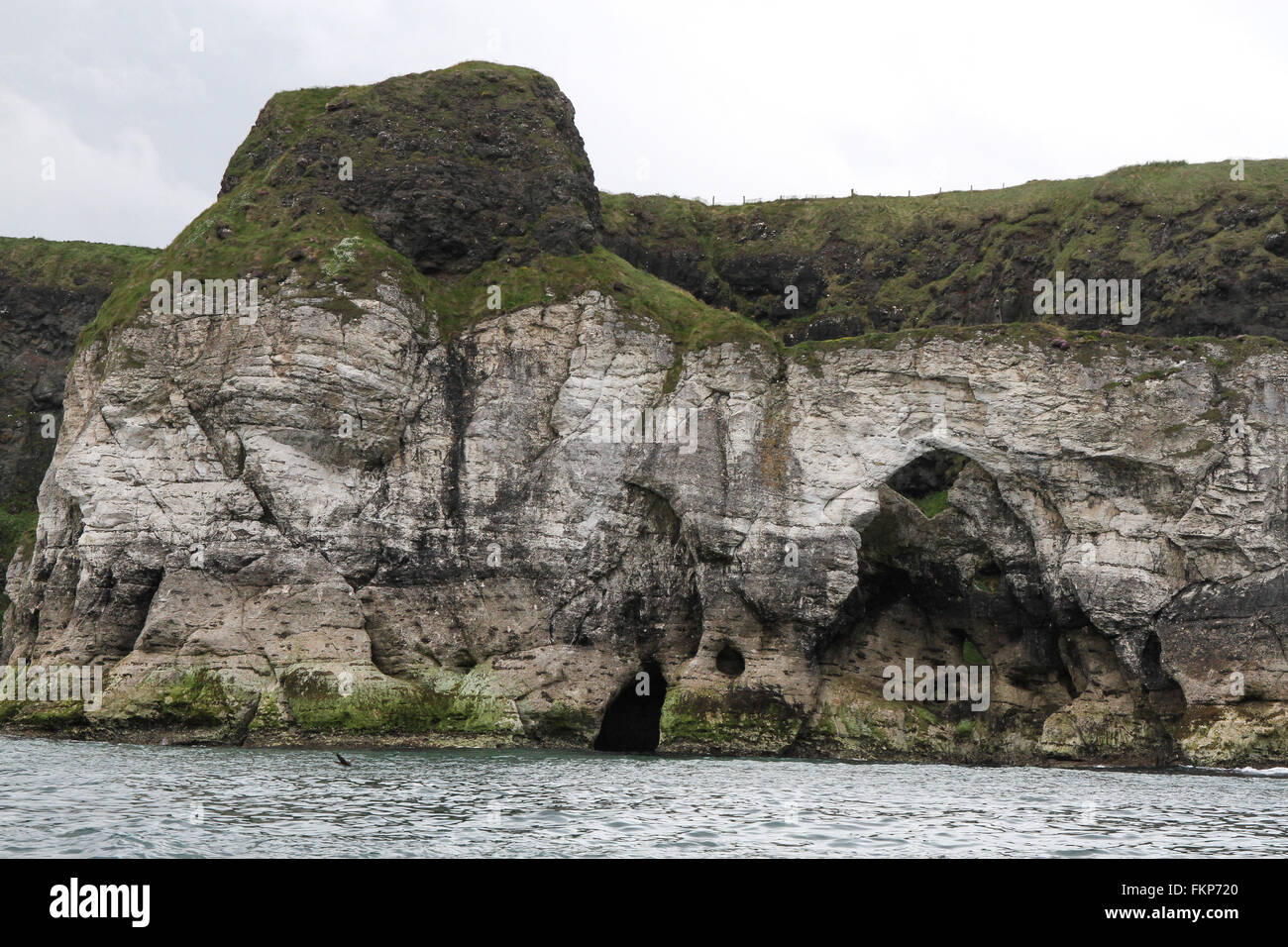 Kalkstein Klippen auf der Nord-westlichen Küste von Nordirland am Weißen Felsen, Portrush, County Antrim. Stockfoto