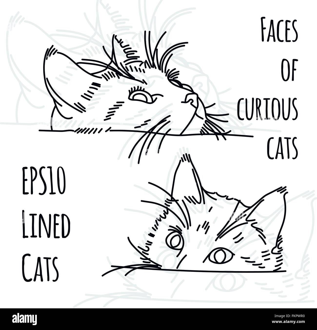 Vektor-Illustration von zwei neugierige Katze Maulkörbe Stock Vektor