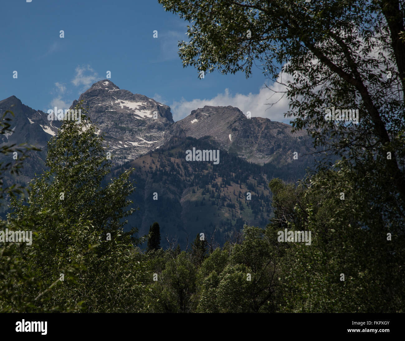 Grand Teton Stockfoto