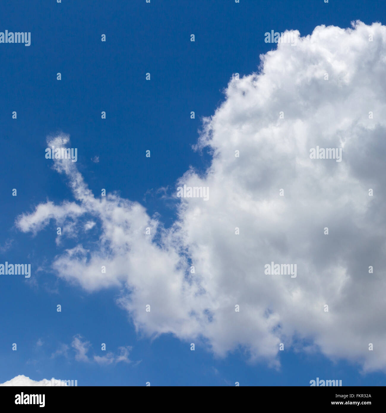 Wolke geformt als Schnecke, die in den blauen Himmel fliegt. Stockfoto