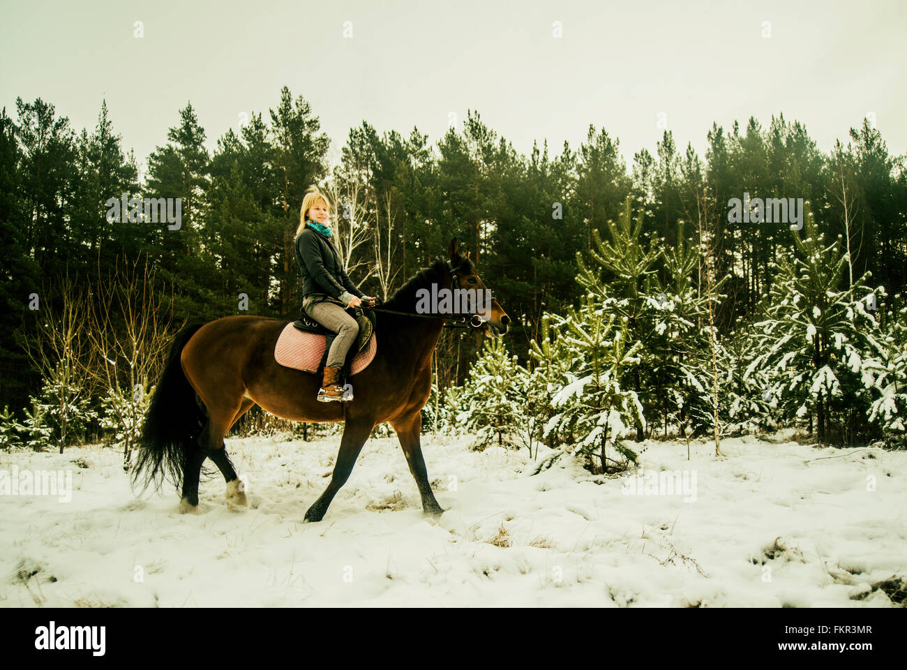 Kaukasische Frau Reitpferd auf verschneiten Weg Stockfoto