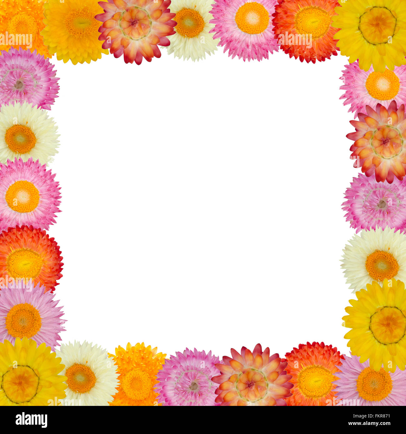 Stroh Blumenrahmen auf Hintergrund isoliert Stockfoto
