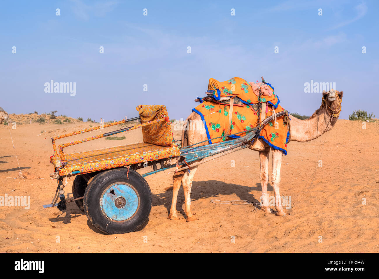 Kamel Wagen in der Thar-Wüste, Rajasthan, Indien Stockfoto