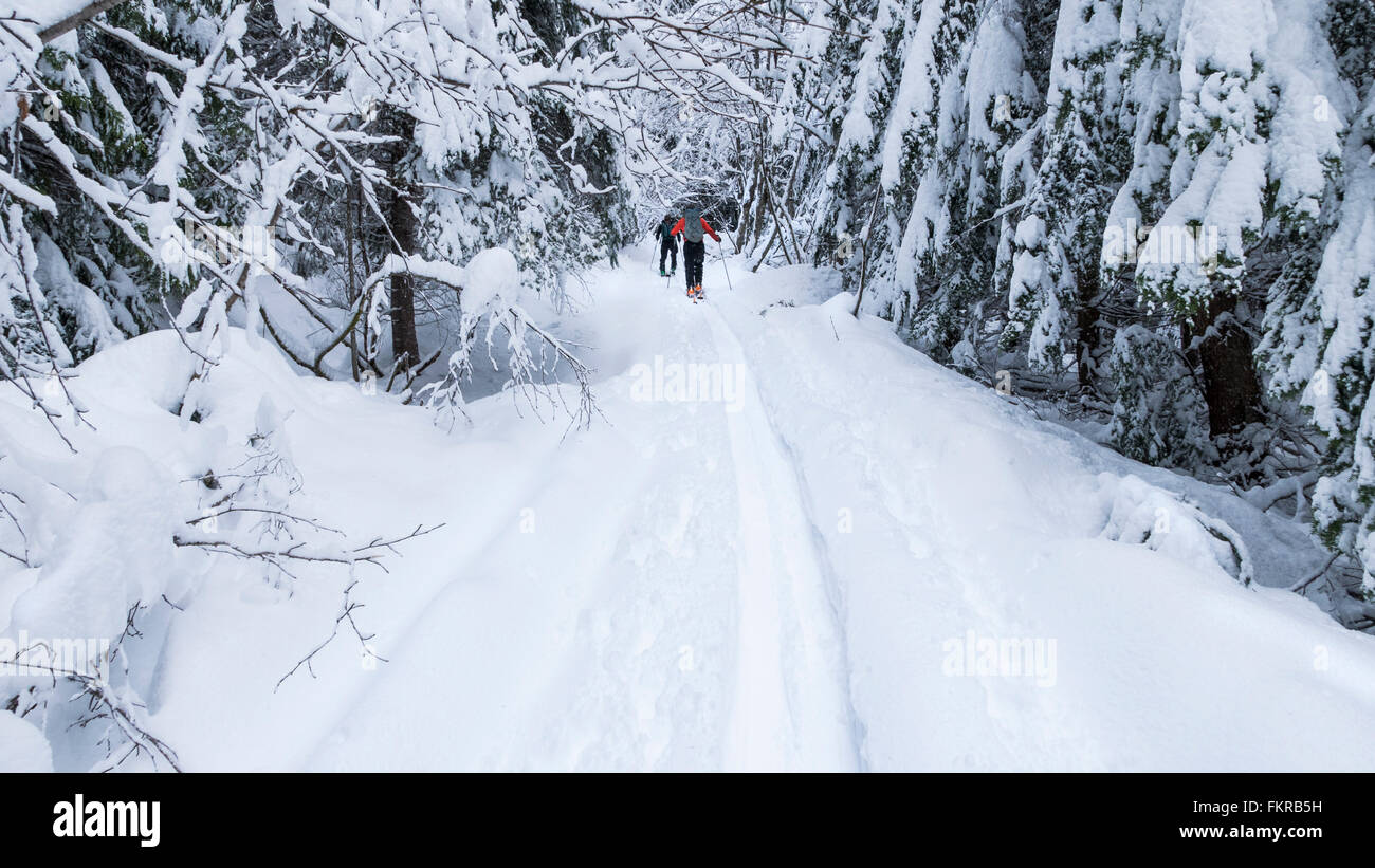 Kaukasische paar Langlauf im Schnee Stockfoto