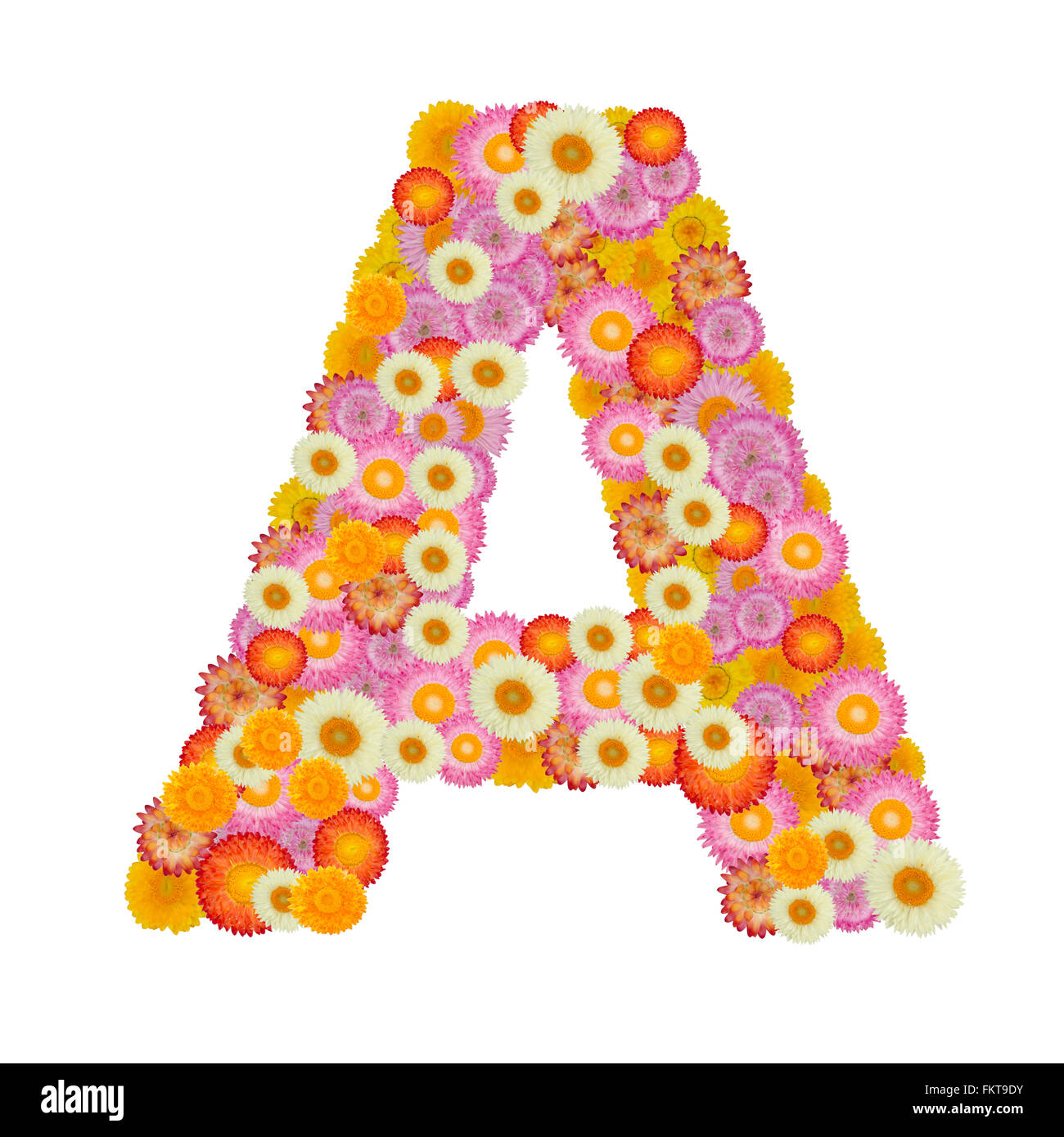 Buchstabe A Alphabet mit Stroh Blume isoliert auf weißem Hintergrund Stockfoto