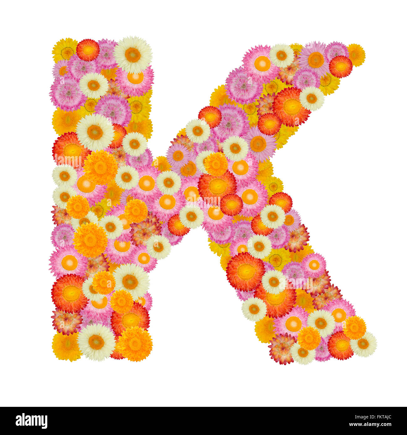 Buchstabe K-Alphabet mit Stroh Blume isoliert auf weißem Hintergrund Stockfoto