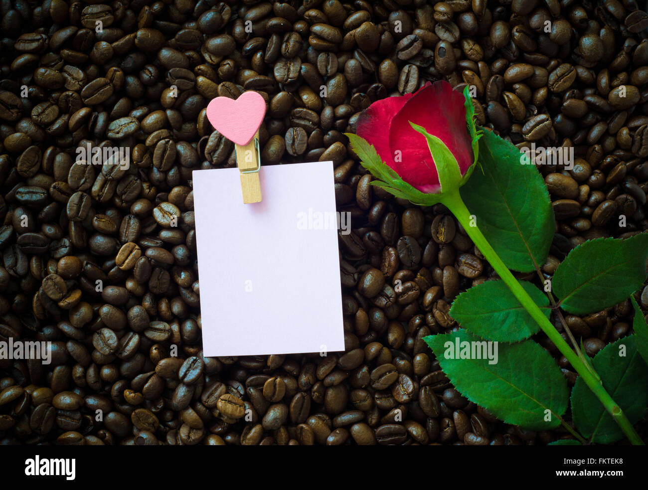 Rote Rose auf Kaffeebohne Hintergrund Stockfoto