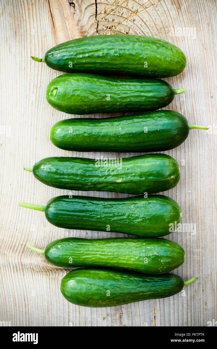 Frische grüne Gurken Stockfoto