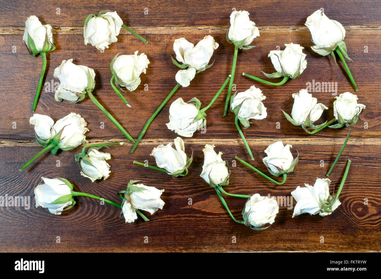Menge des getrockneten weißen Rosen über hölzerne Hintergrund Stockfoto