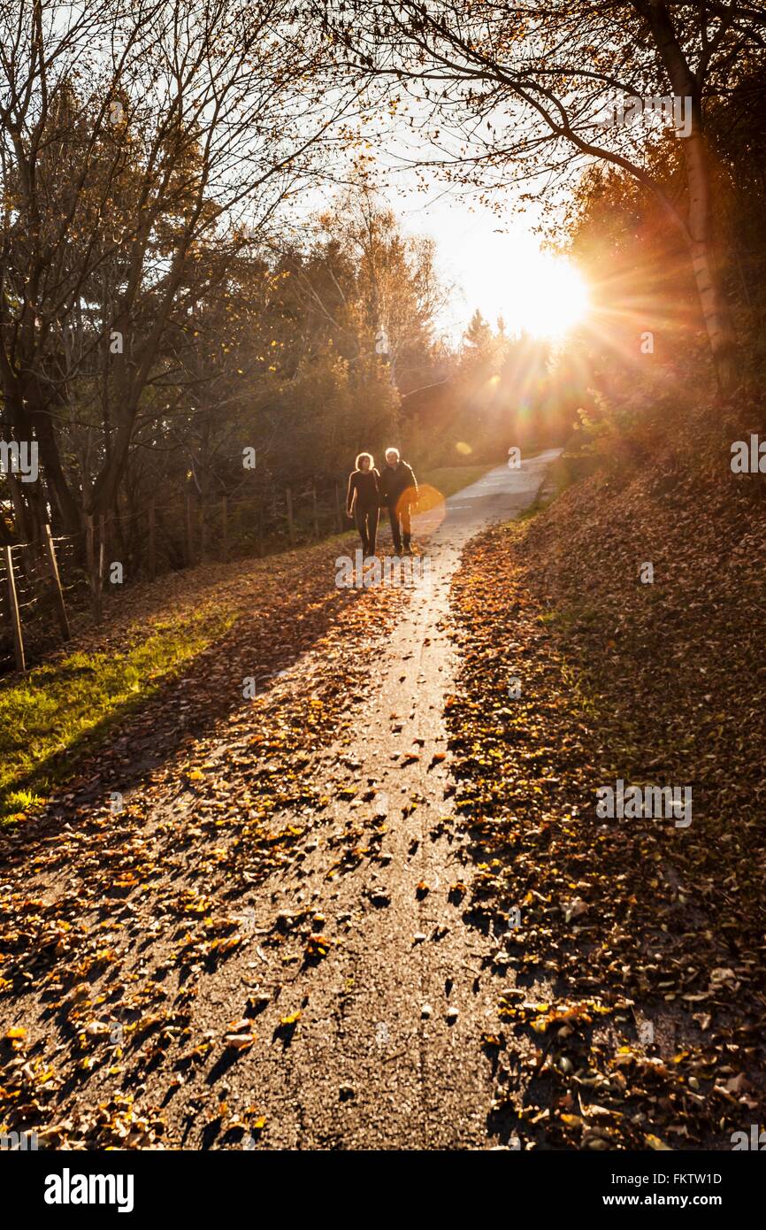 Älteres paar sonnenbeschienenen Waldweg spazieren, im Herbst, Lombardei, Italien Stockfoto