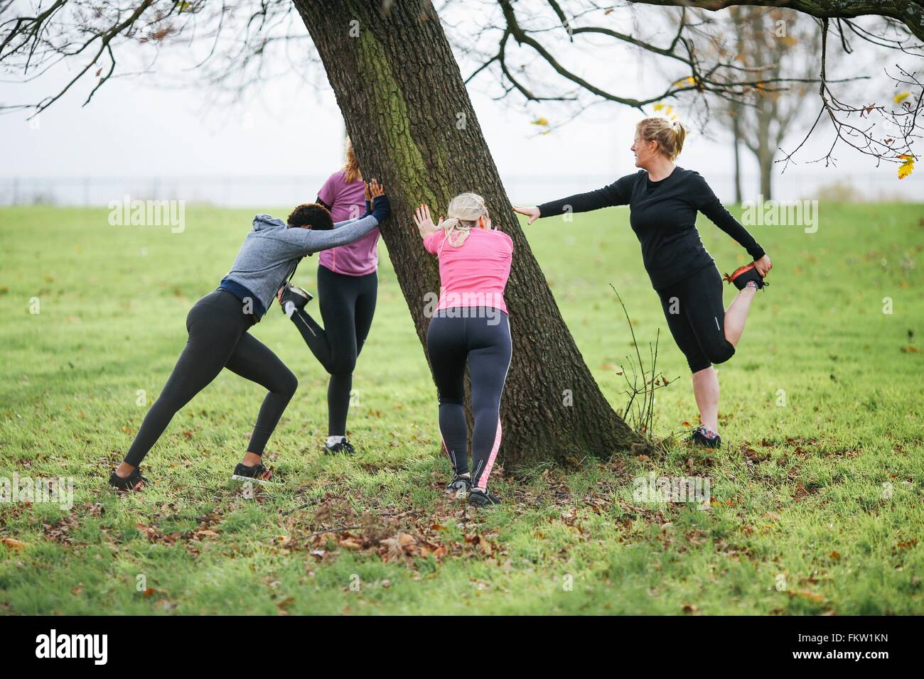 Frauen und Jugendliche tun Aufwärmübungen um Parkbaum Stockfoto