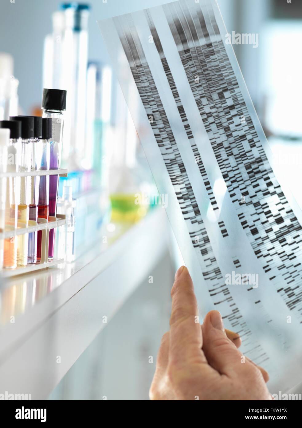 Wissenschaftler betrachten eine DNA-Sequenz-Gel, die genetische Information eines Menschen in einem Labor zu verstehen Stockfoto