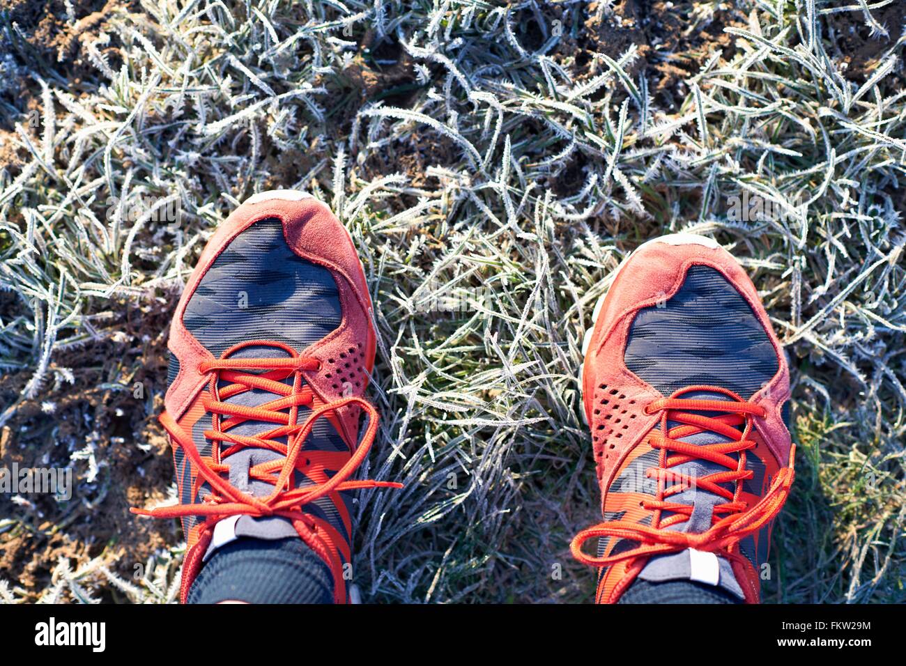 Draufsicht der Läufer Füße tragen Laufschuhe frostigen Gras Stockfoto