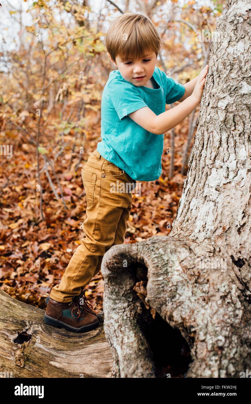 Kleiner Junge im Wald, Kletterbaum Stockfoto