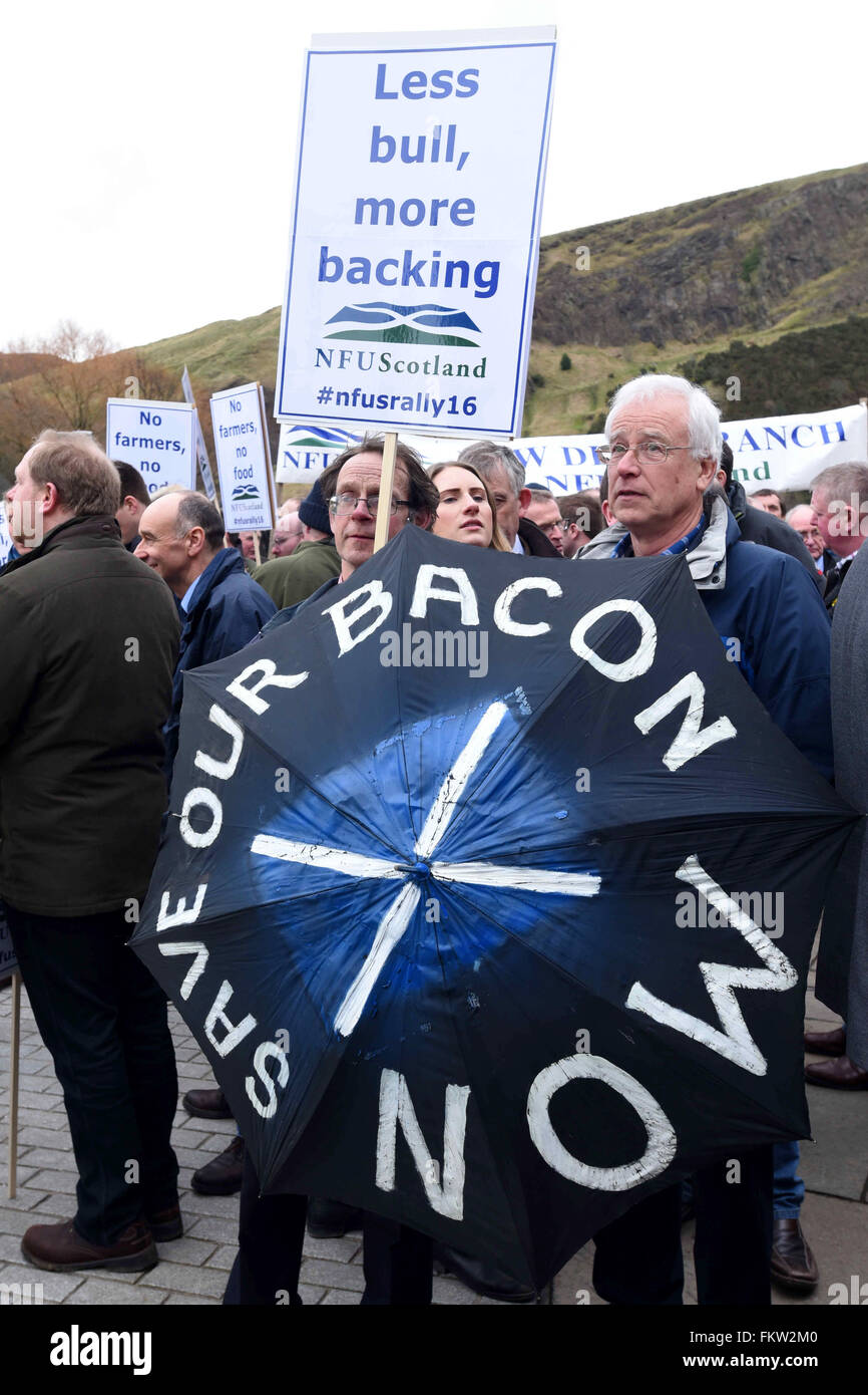 Edinburgh, Schottland. 10. März 2016. Demonstranten halten Banner während des Protestes von Landwirten außerhalb des schottischen Parlaments über Verzögerungen bei der Subvention Betriebsprämien, Credit: Ken Jack / Alamy Live News Stockfoto