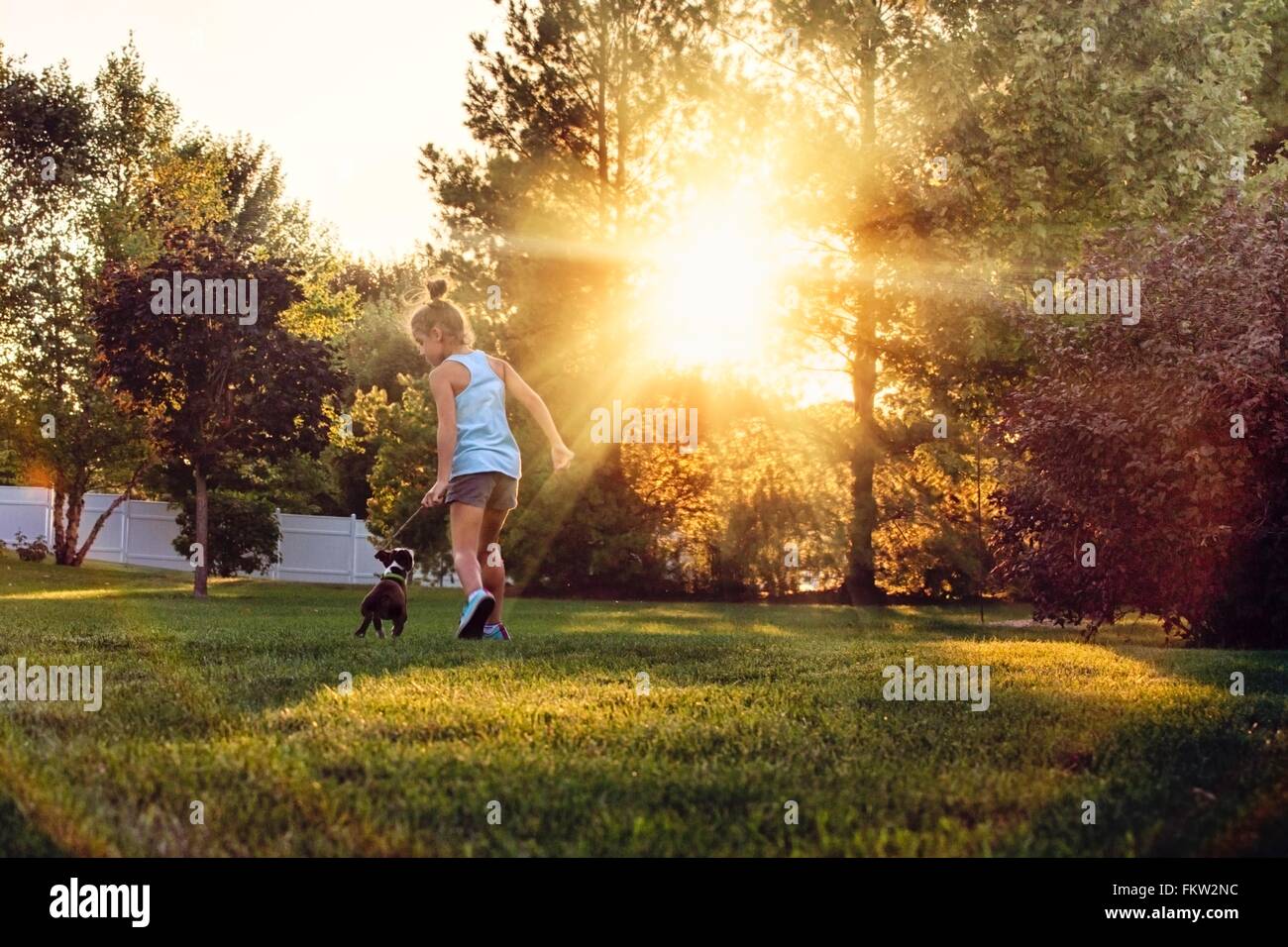 Rückansicht des Mädchens im Park laufen mit Boston Terrier Welpen Stockfoto