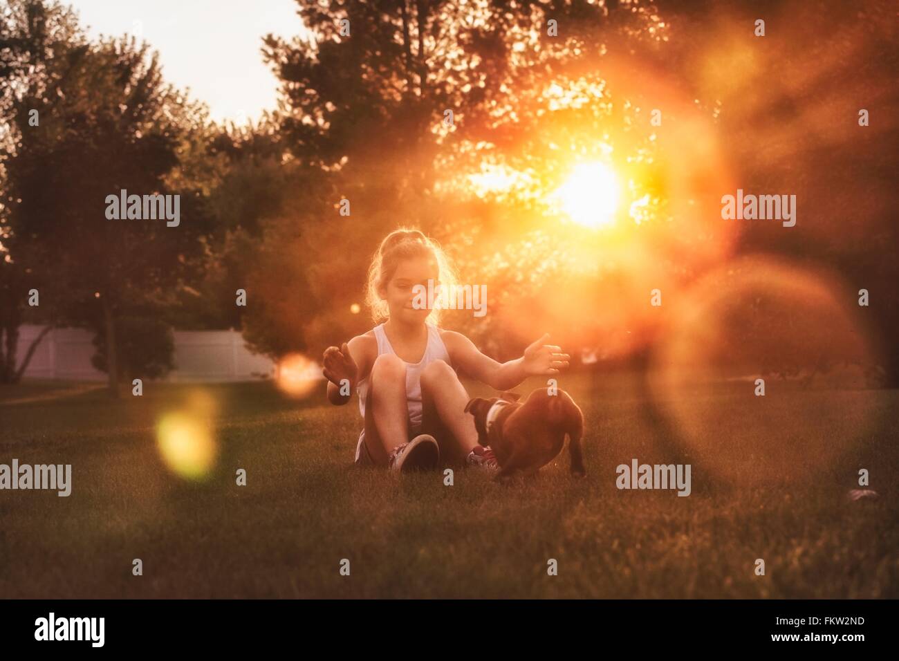 Mädchen sitzen auf Rasen Arme öffnen ermutigend Boston Terrier Welpen Stockfoto