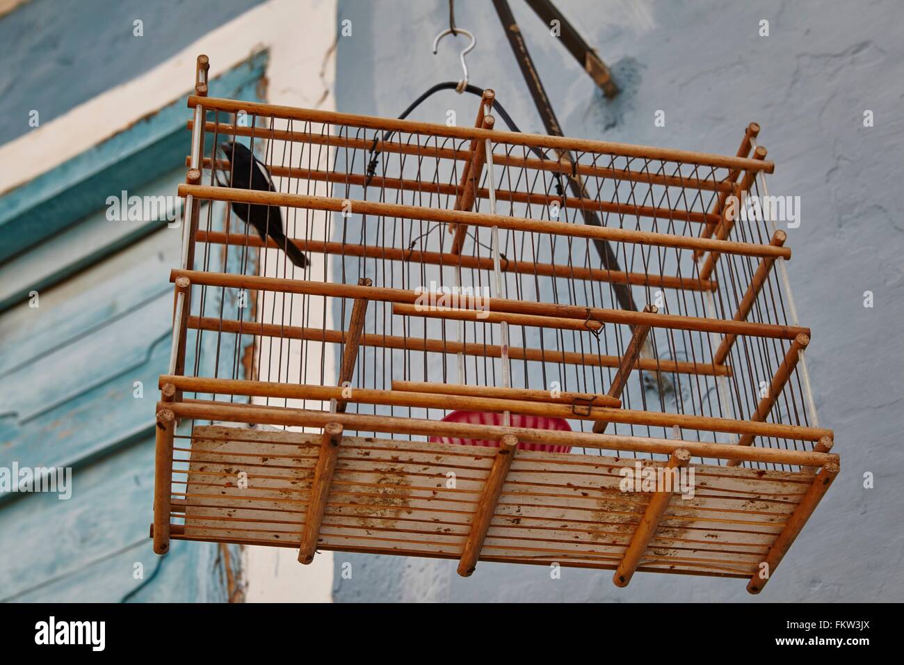 Vogel im Käfig für Vogel hängen vor Haus, Kuba Stockfoto