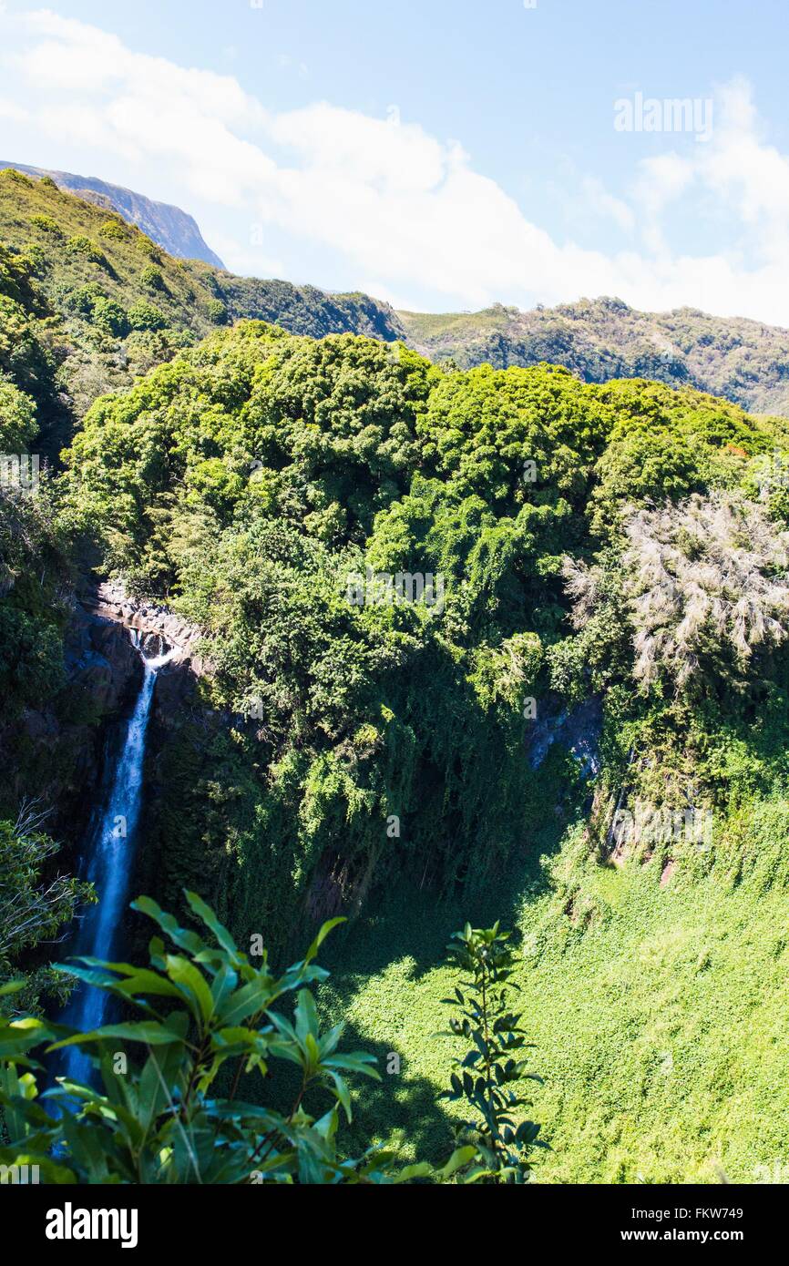 Erhöhten Blick auf den Wasserfall und Regenwald, Haleakala, Hawaii, USA Stockfoto
