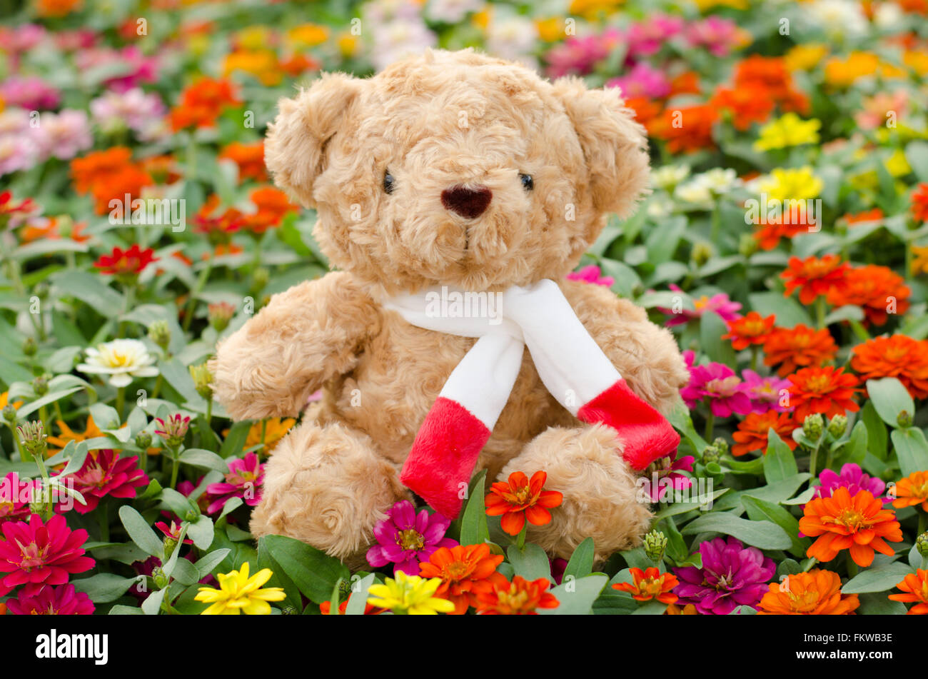 Teddybär im Blumengarten Stockfoto