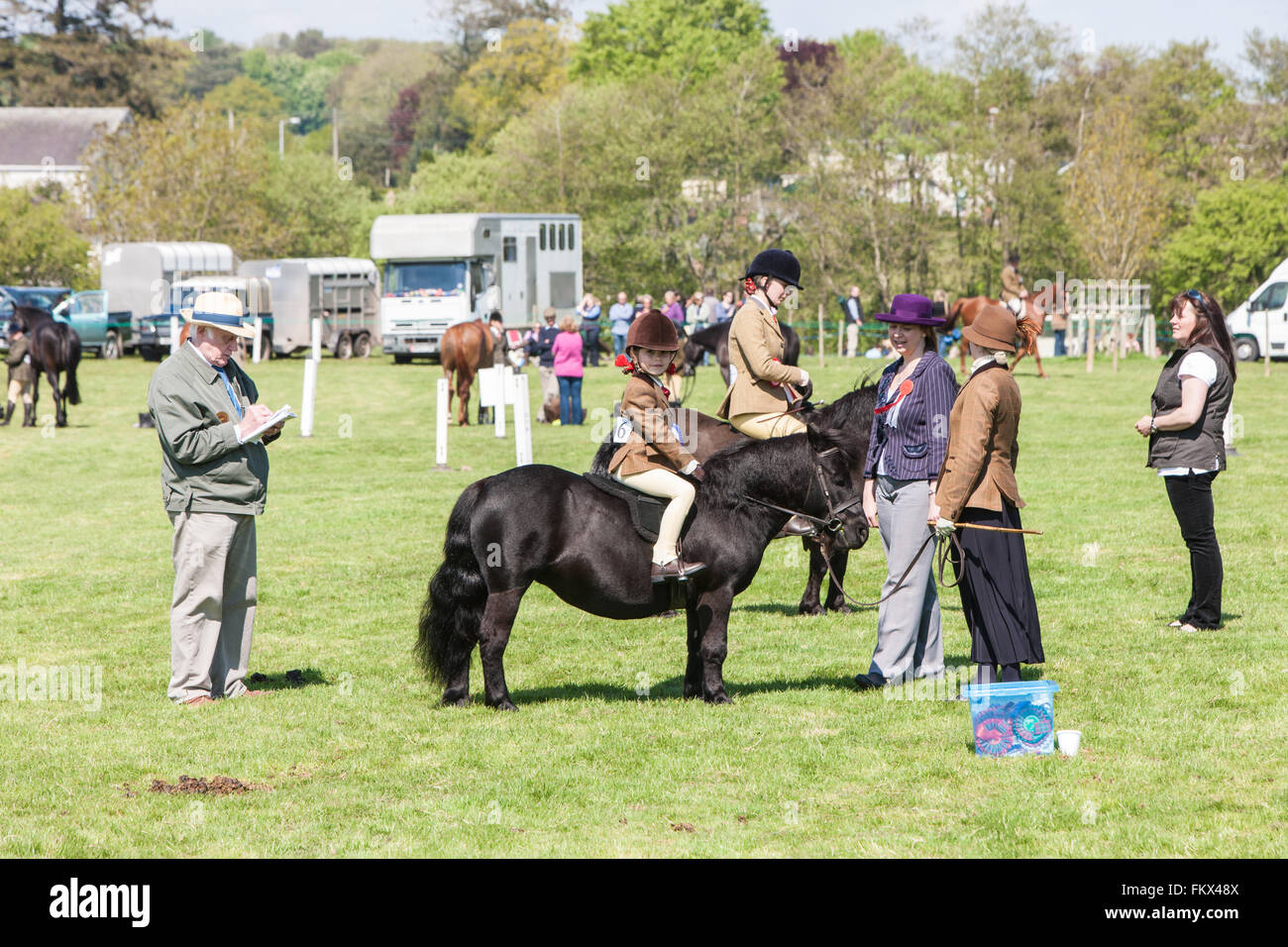 Bei Cothi Brücke Landwirtschaft zeigen Pferd und Pony, in der Nähe von Llandeilo,Carmarthenshire,Wales,U.K. Stockfoto