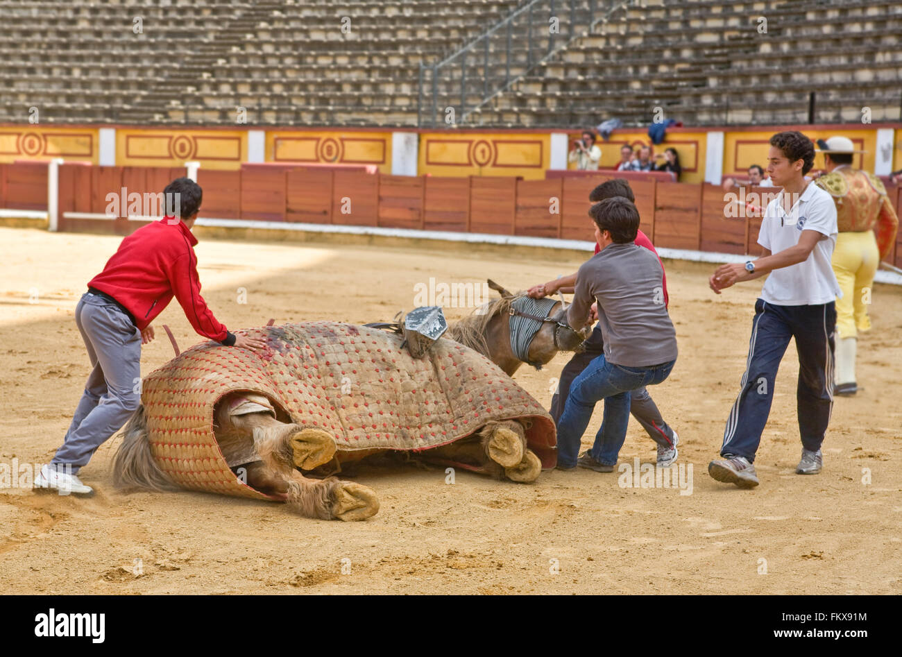BADAJOZ, Spanien, Mai 11: Training hinter verschlossenen Türen am 11. Mai 2010 in Badajoz, Spanien Stierkampf. Der Lancer Pferd versuchen, stehen Stockfoto