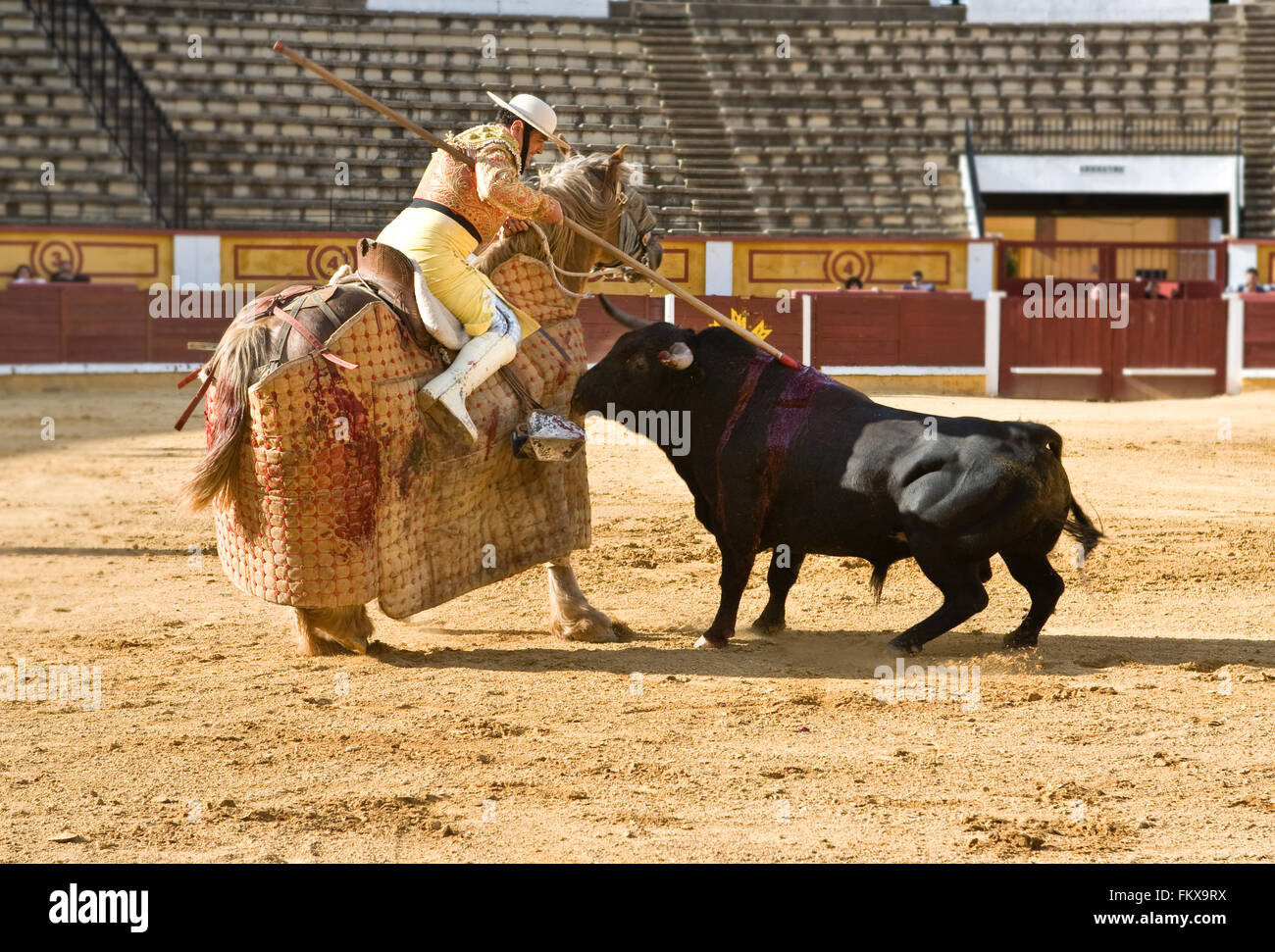 Badajoz, Spanien - Mai 11: Training hinter verschlossenen Türen am 11. Mai 2010 in Badajoz, Spanien Stierkampf. Der Lancer Verwundung des Stiers Stockfoto