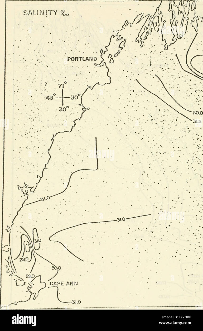 Eine ökologische Charakterisierung von Coastal Maine (Norden und Osten des Cape Elizabeth) (1980) Stockfoto