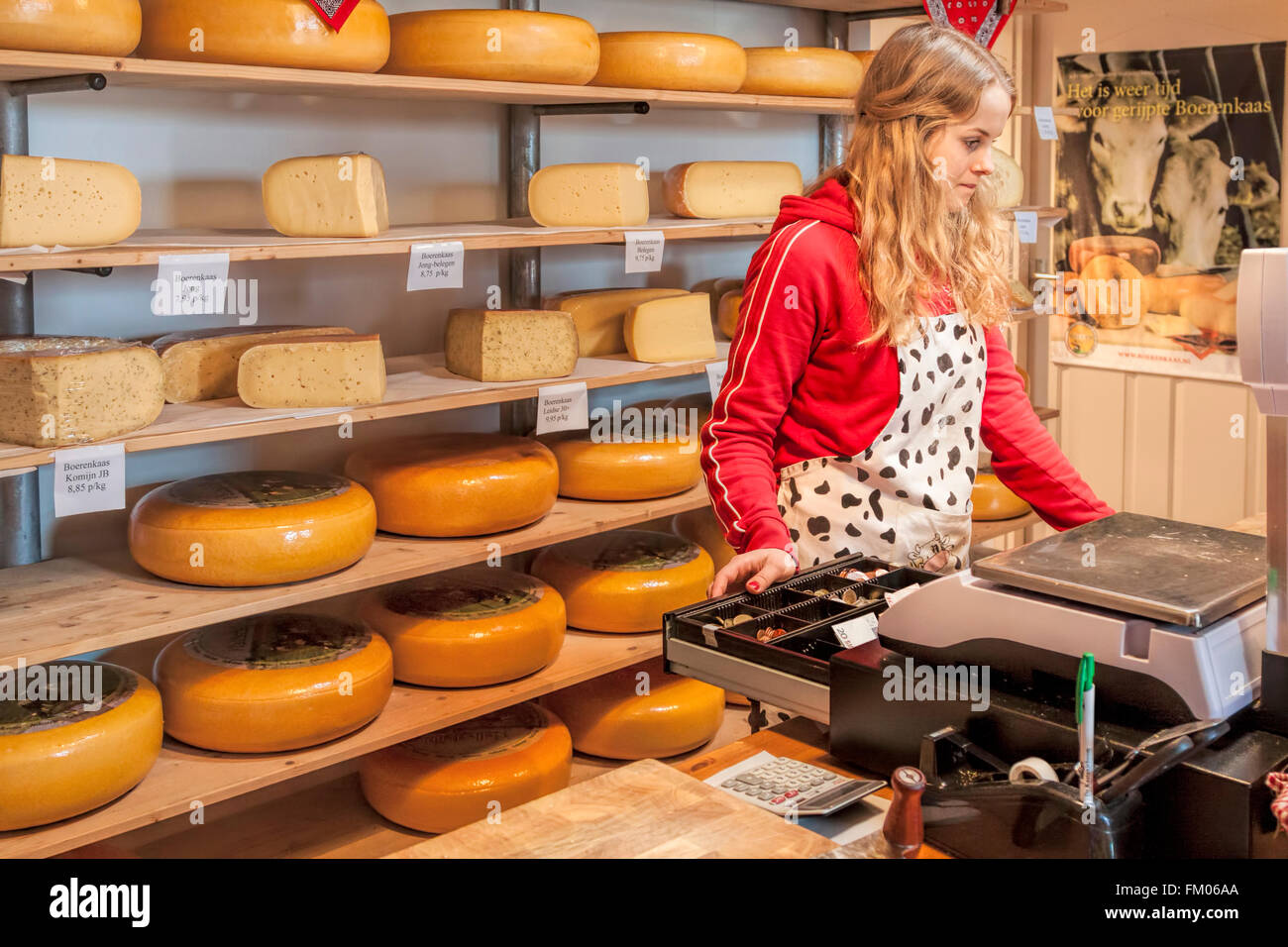 Eine Vielzahl von holländischen Käse für den Verkauf im Shop von einem Milchviehbetrieb, Wassenaar, Südholland, Niederlande. Stockfoto