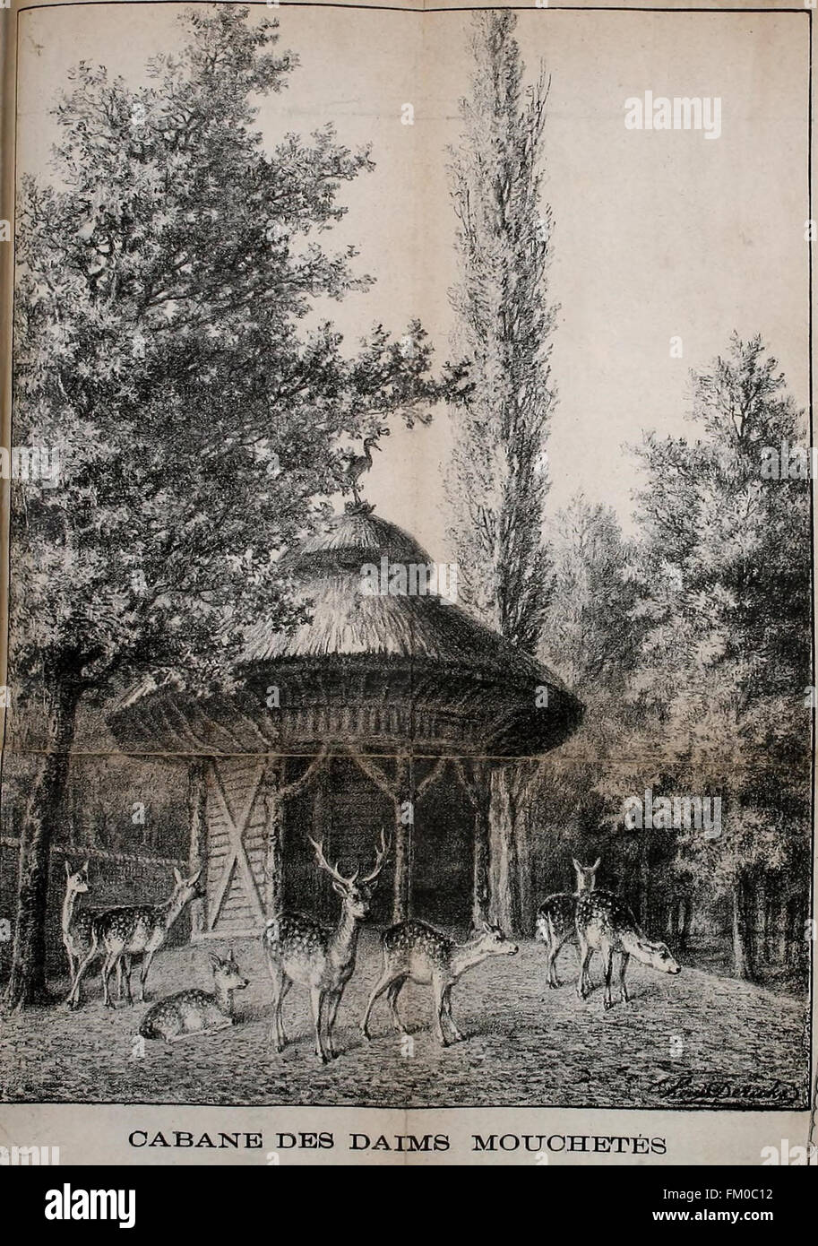 Promenade au Jardin Zoologique d ' Anvers (pl. 10) Stockfoto