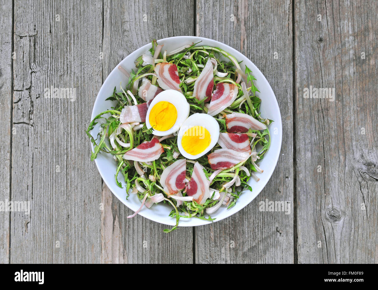 Frischer Löwenzahn Salat mit gekochten Eiern und Speck Stockfoto