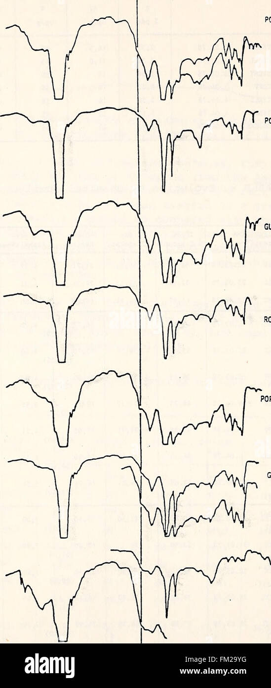 In diesem Bericht werden die ökologischen Auswirkungen der Ölkatastrophe Amoco Cadiz im Jahr 1982 untersucht und die Umweltschäden und Maßnahmen der NOAA-CNEXO-kommission detailliert beschrieben. Stockfoto